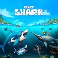 Crazy Shark Play game Crazy Shark now!