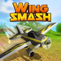 Play game Wing Smash now!